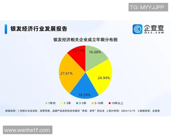 南京极限运动队的运营模式与市场热潮深度解析 南京极限运动队的运营模式与市场热潮深度解析
