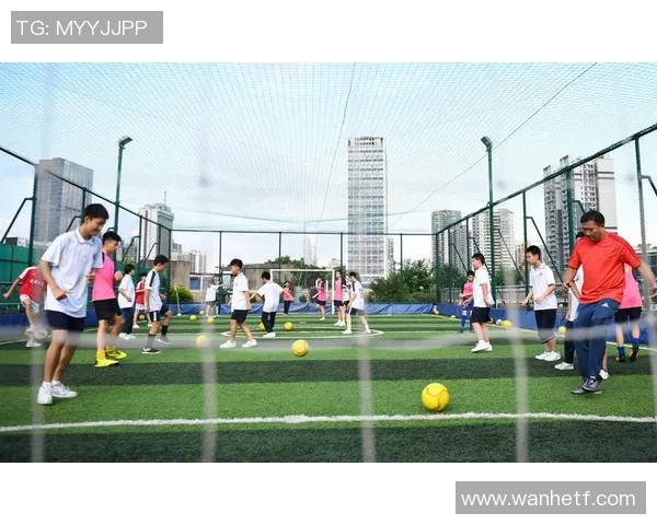 杨芳独家解析足球技巧与战术分享助你提升球场表现 杨芳独家解析足球技巧与战术分享助你提升球场表现