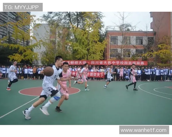 陈丽的篮球人生探索：从热爱到职业的深度对话与成长之路