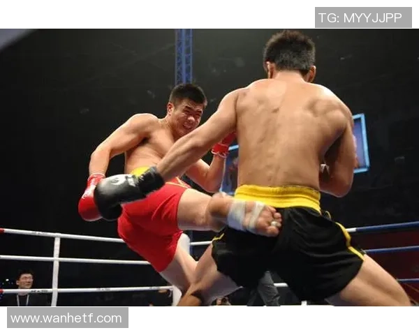 尼克宾与科尔丁的巅峰对决谁将成为新一代的拳击传奇 尼克宾与科尔丁的巅峰对决谁将成为新一代的拳击传奇